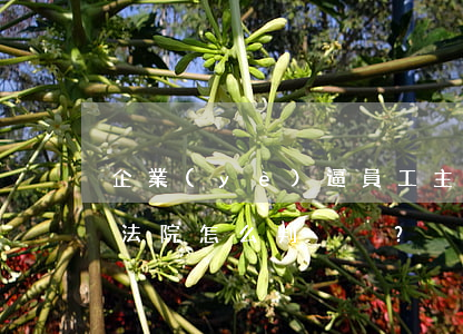 企業(yè)逼員工“主動(dòng)離職”，法院怎么判？
